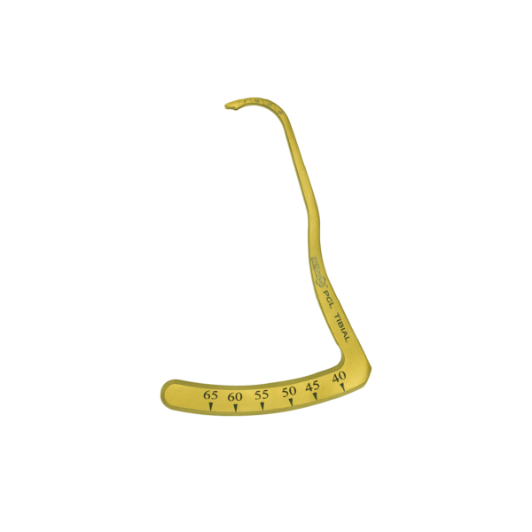 PCL Tibial